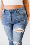 RISEN Melissa High Rise Distressed Skinny Jeans