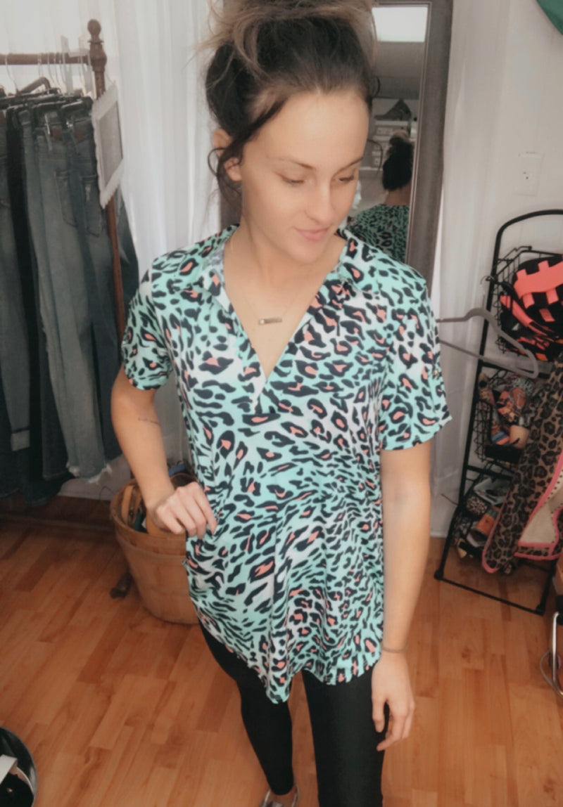 1213 - The Tina Mint Leopard and Pink V Neck Blouse - Small to 3x